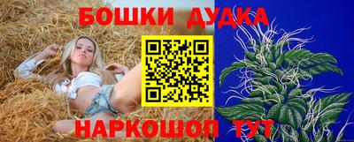 индика Беслан