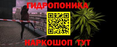 прущие крисы Кандалакша