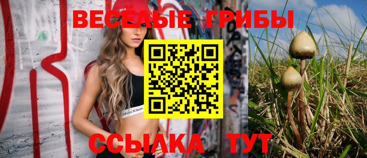 Галлюциногенные грибы MAGIC MUSHROOMS  Волоколамск 