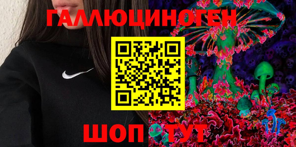 Волоколамск  Галлюциногенные грибы мухоморы  Вход с VPN 