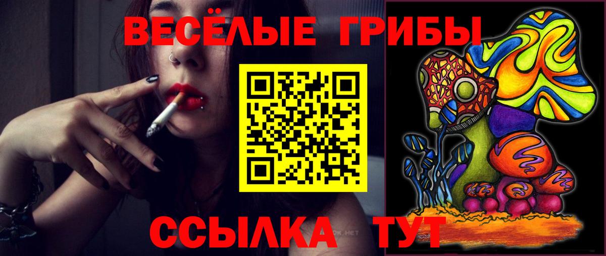 Галлюциногенные грибы прущие грибы Волоколамск
